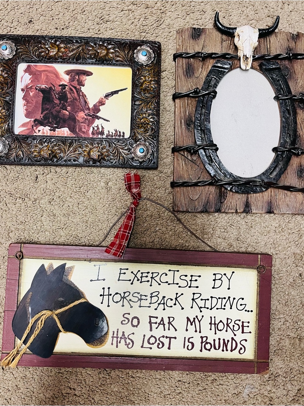 Western/Horseback Riding Decor/Wall hangings